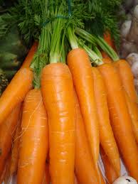 carotte en botte primeur 1.85