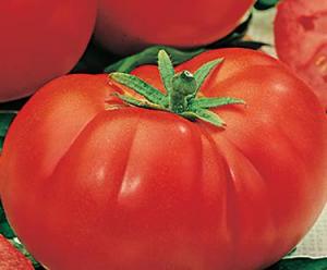 tomate promo du pays les 2 kilos pour 3.0