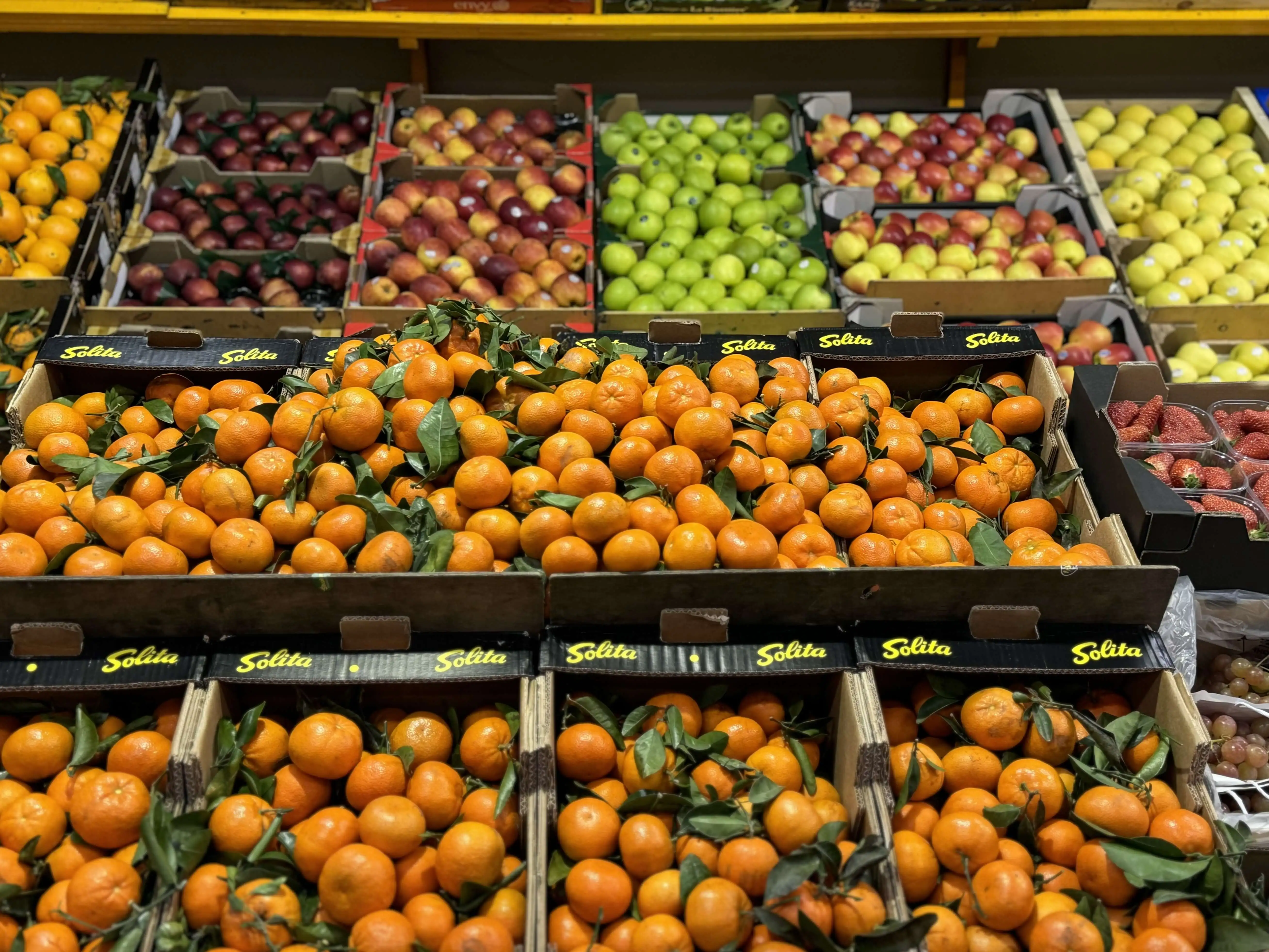 Fruits
